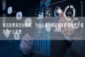 域名收费背后的真相，为什么你的网站每年都得掏钱？域名为什么收费