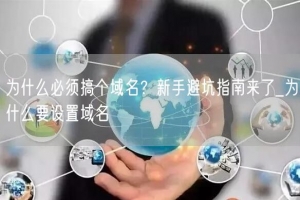 为什么必须搞个域名？新手避坑指南来了_为什么要设置域名